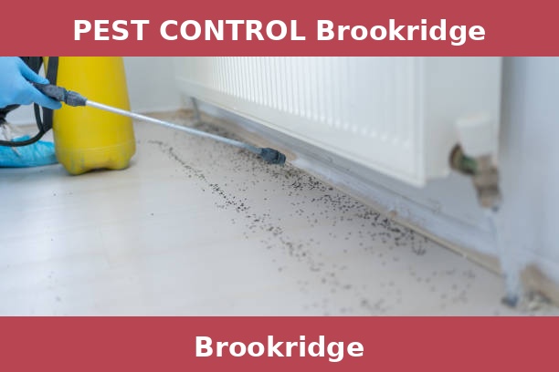 PEST CONTROL Brookridge